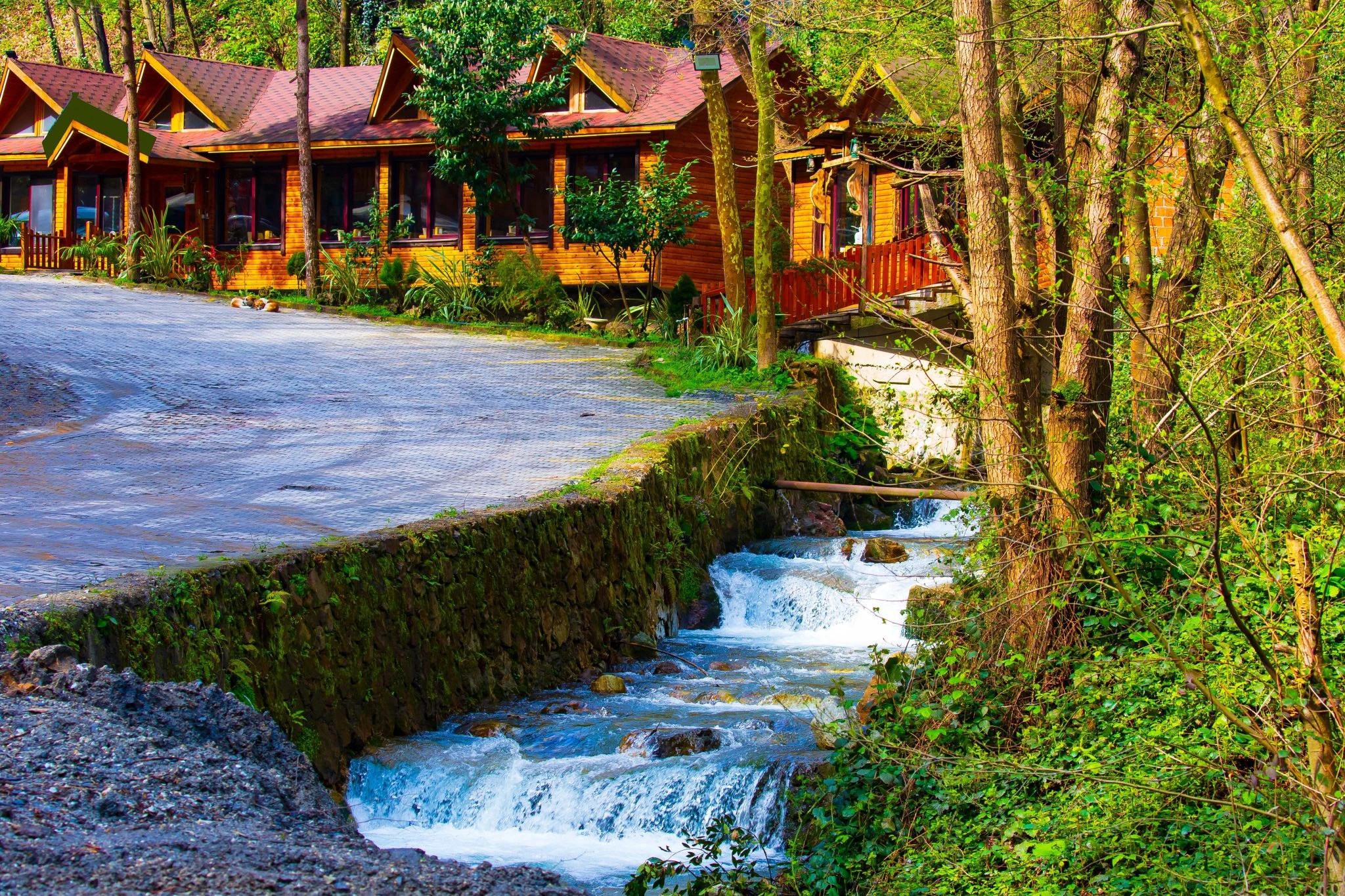 Sapanca Maşukiye Ormanya Turu