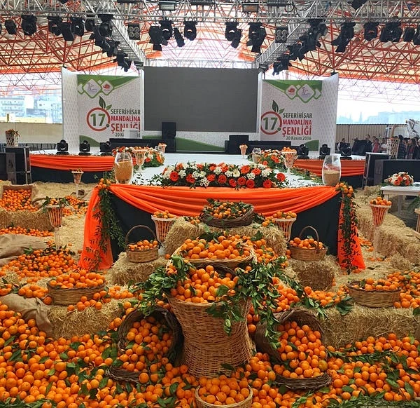  İZMİR MANDALİNA FESTİVALİ TURU