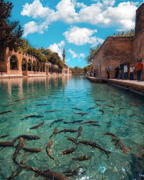 Güneydoğu Anadolu Turu 