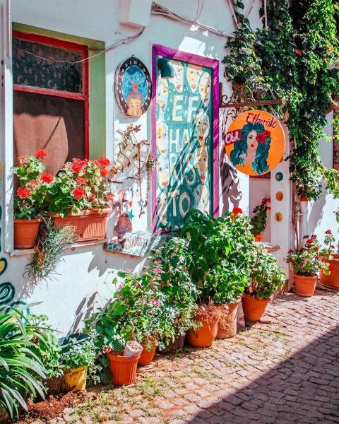 1 - 2 Mayıs Gökçeada Bozcaada Turu