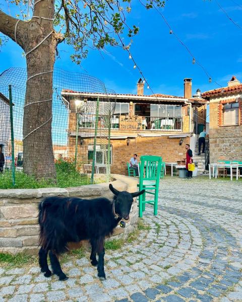 1 - 2 Mayıs Gökçeada Bozcaada Turu