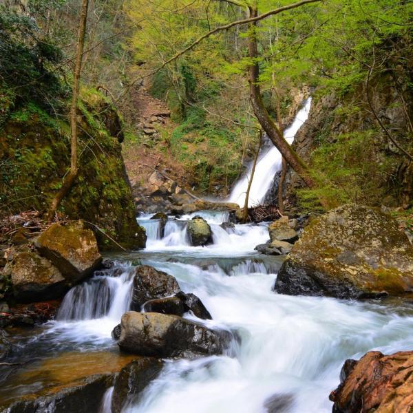 Düzce Şelaleleri ve Topuk Yaylası Turu