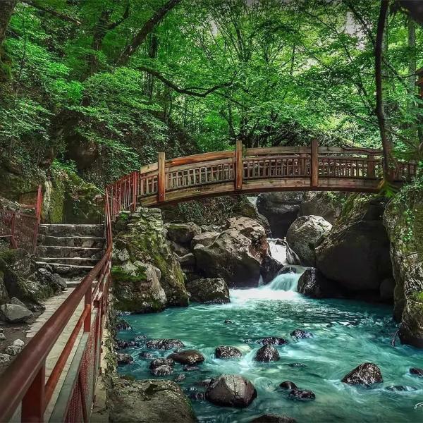 Düzce Şelaleleri ve Topuk Yaylası Turu