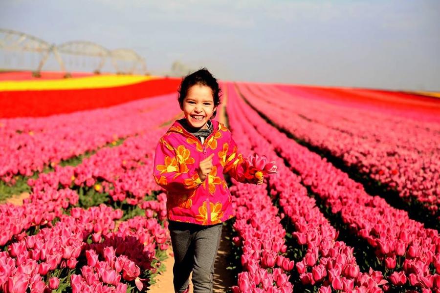 Konya Lale Tarlaları- Sille – Kelebek Bahçesi – Göksu Şelalesi Turu