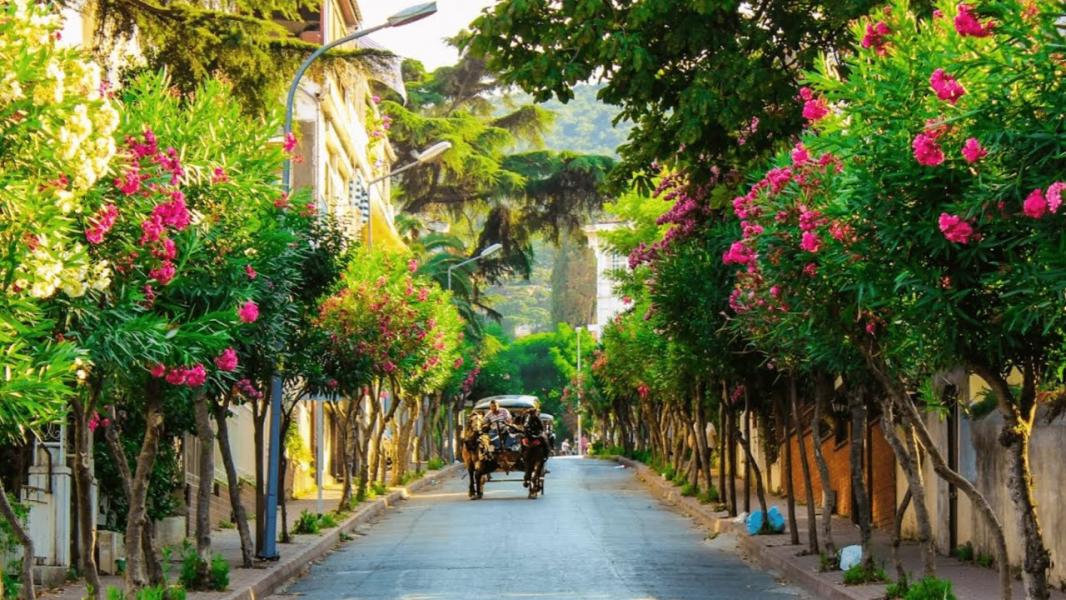 İstanbul Adalar Turu