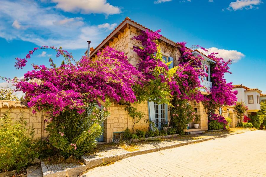 Butik Ege Turu İzmir - Efes - Urla - Şirince - Sığacık - Pamukkale Turu 2 Gece 3 Gün