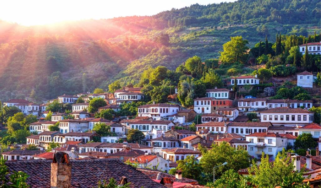 Butik Ege Turu İzmir - Efes - Urla - Şirince - Sığacık - Pamukkale Turu 2 Gece 3 Gün