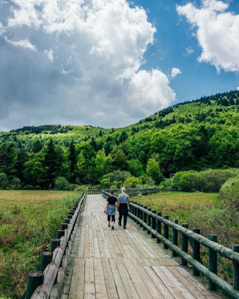 Abant - Gölcük Gölü Turu