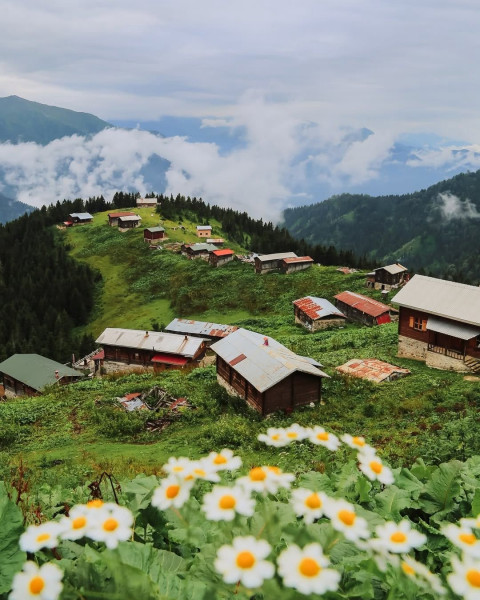 Doğu Karadeniz ve Batum Turu 6 - 12 Temmuz Özel Tarih