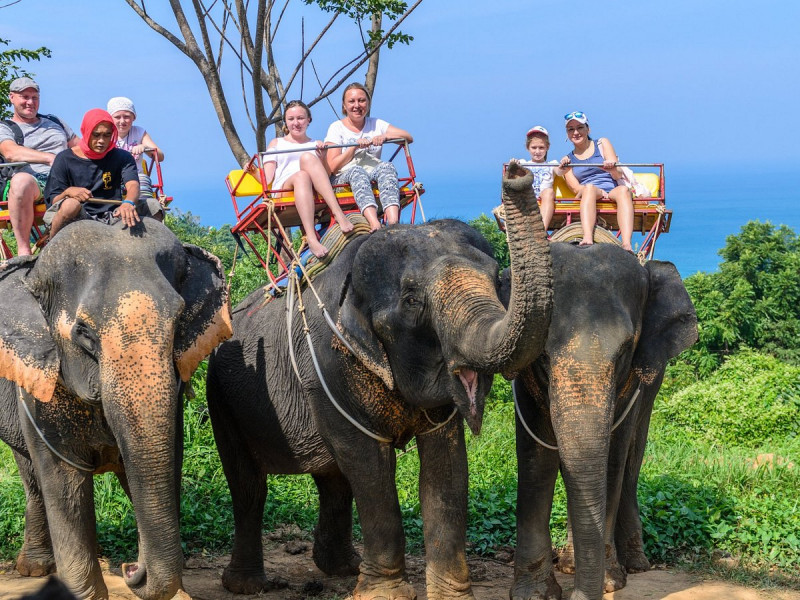  Phuket & Bangkok & Pattaya Turu