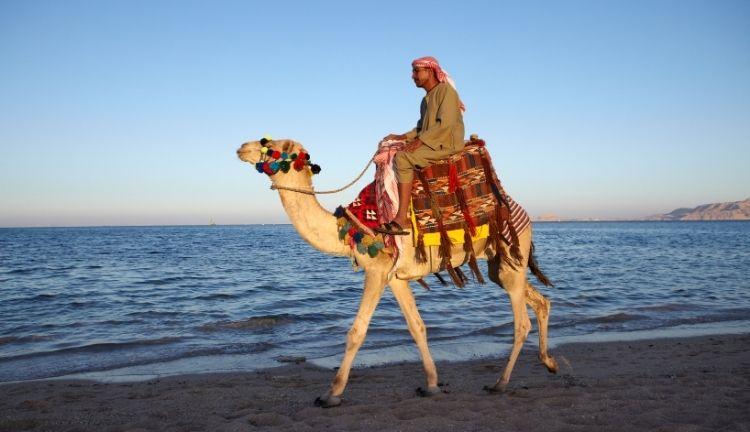 Promosyon Sharm El Sheikh Turu Ajet ile 5 Gece Transfer Saatine Kadar Otel Kullanımlı