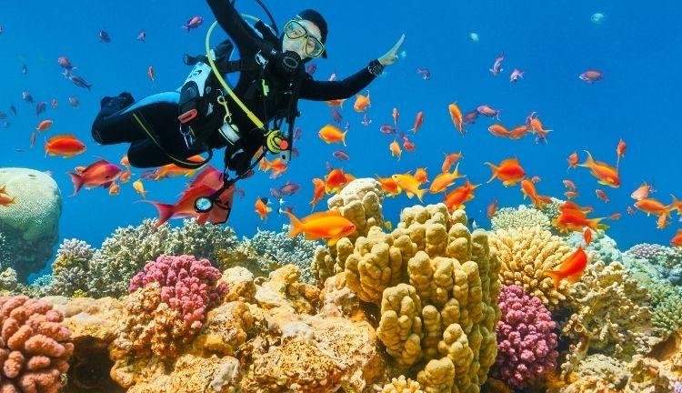 MAXI HER ŞEY DAHİL  SHARM EL SHEIKH TURU Pegasus Havayolları ile 4 gece