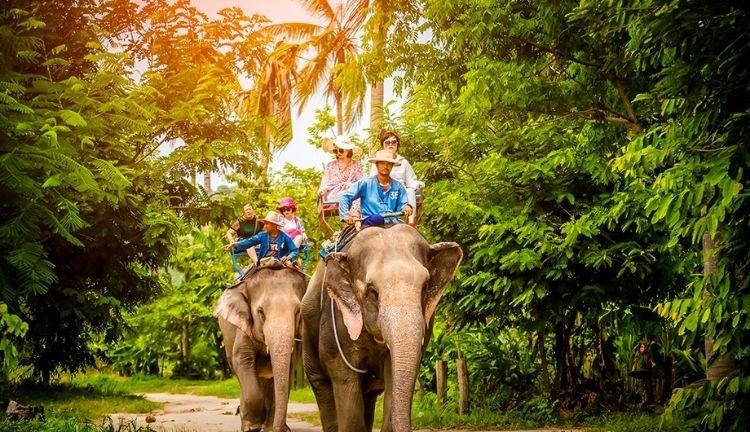 ELEGANT BANGKOK & PHUKET & PATTAYA Türk Hava Yolları ile 6 Gece (TK68) FL001