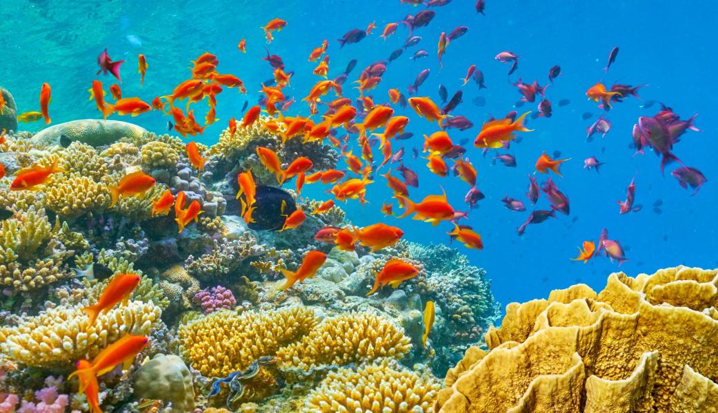 Sharm El Sheikh Turu - Ekstralar Dahil -  4 GECE 5 GÜN 