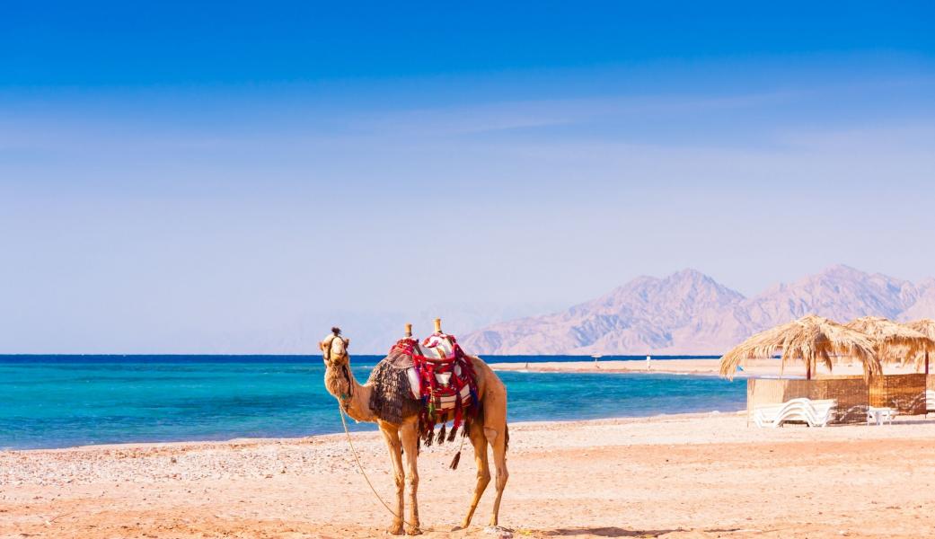 Kahire & Sharm El Sheikh Turu 8 Gün | Ajet Uçuşlu Mısır Keşfi