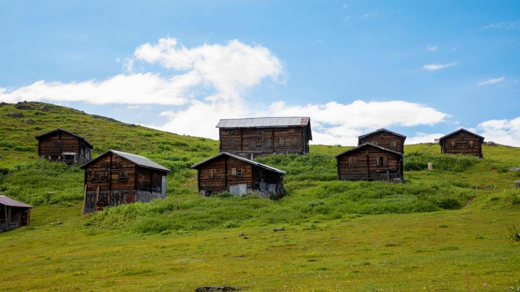 Butik Karadeniz Doğa ve Deneyim Turu [Trabzon Buluşmalı]