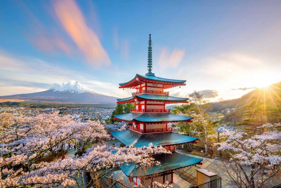  Japonya & Kore Turu (7 Gece 8 Gün)