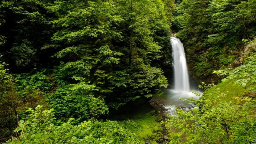 Butik Karadeniz Doğa ve Deneyim Turu