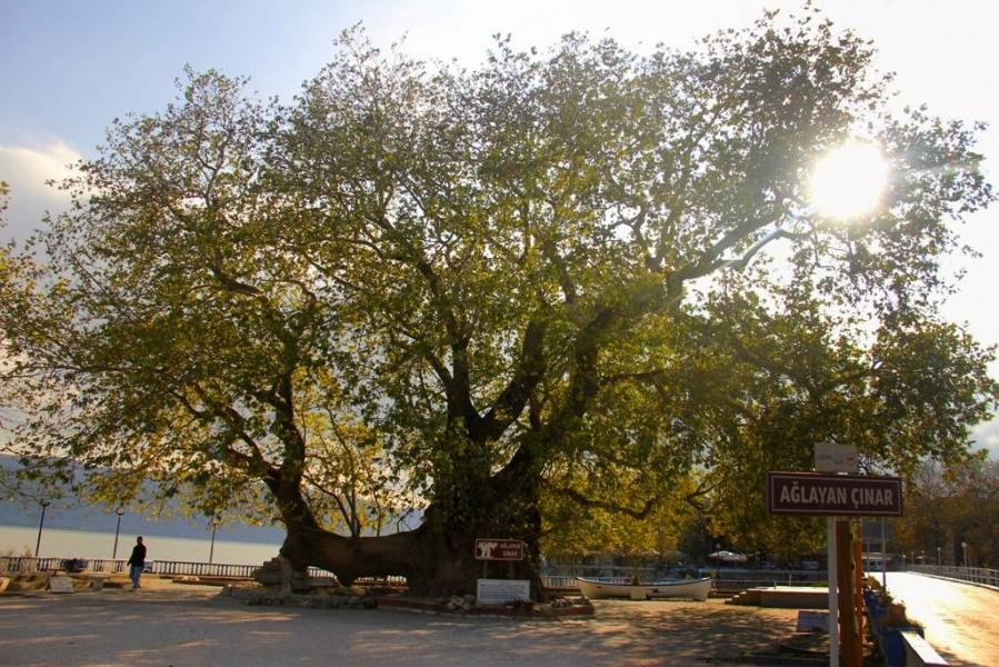 Günübirlik Cumalıkızık - Gölyazı - Trilye Turu