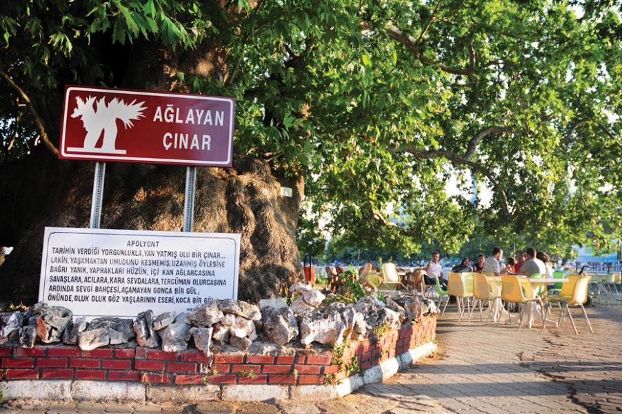 Günübirlik Cumalıkızık - Gölyazı - Trilye Turu