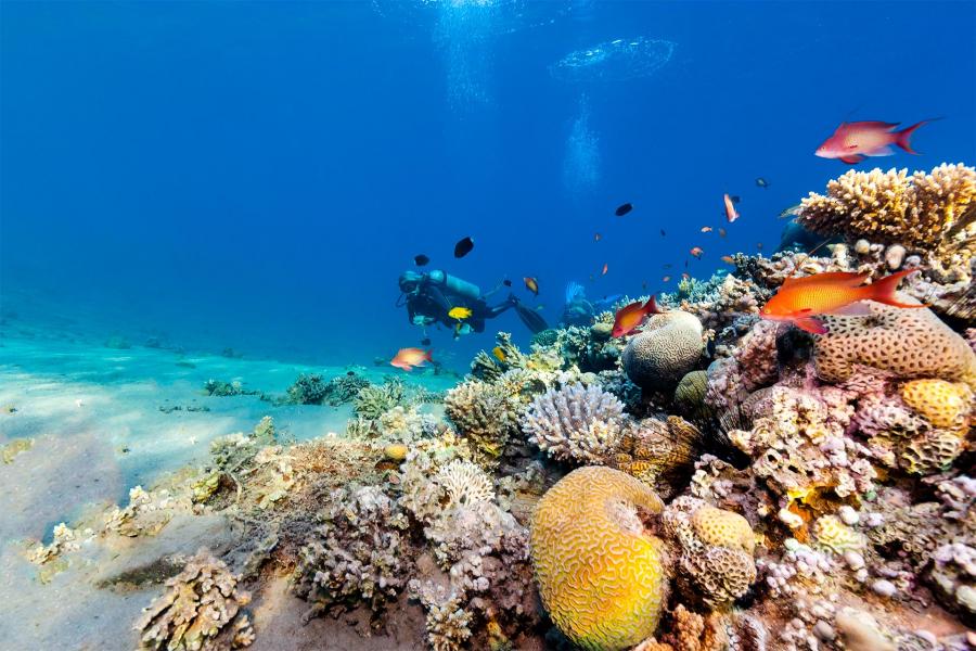 İzmir'den Direkt Uçuşla 3 Gece Sharm El Sheikh Turu