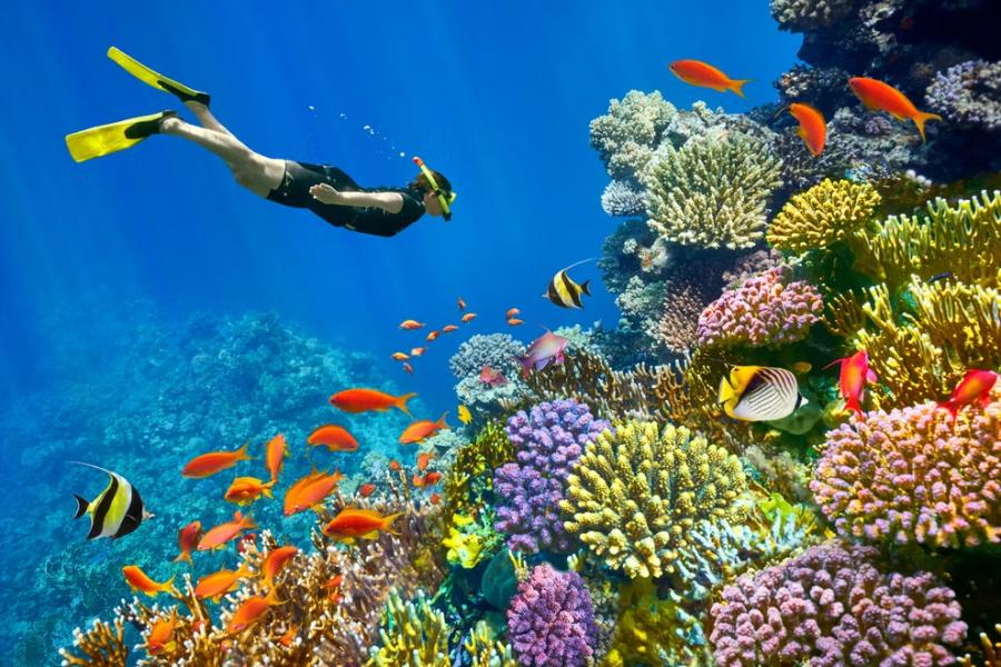 İzmir'den Direkt Uçuşla 3 Gece Sharm El Sheikh Turu
