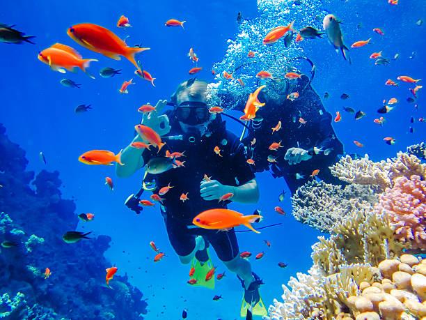 İzmir'den Direkt Uçuşla 4 Gece Sharm El Sheikh Turu
