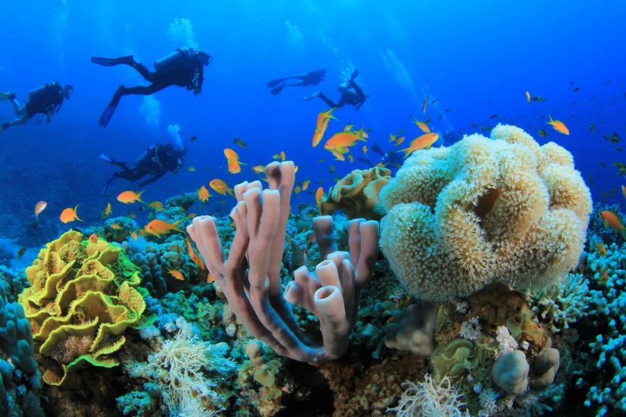 İzmir'den Direkt Uçuşla 4 Gece Sharm El Sheikh Turu