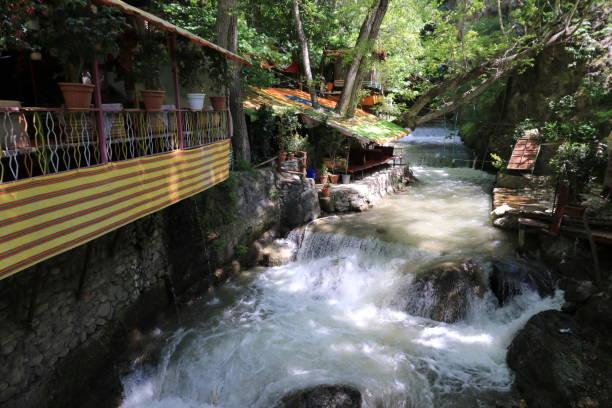 ANKARA ÇIKIŞLI SAPANCA MAŞUKİYE ORMANYA TURU (RESTORANDA KAHVALTI)