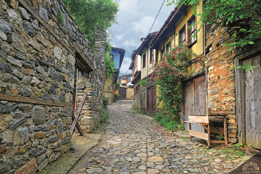 ANKARA ÇIKIŞLI BURSA, MUDANYA, TRİLYE TURU
