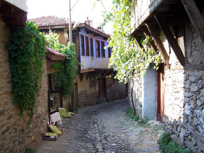 ANKARA ÇIKIŞLI BURSA, MUDANYA, TRİLYE TURU