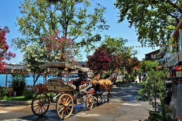 ANKARA ÇIKIŞLI GÜNÜBİRLİK İSTANBUL ADALAR TURU 