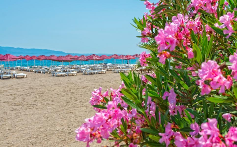 BODRUM TATİLİ 3 GECE 4 GÜN