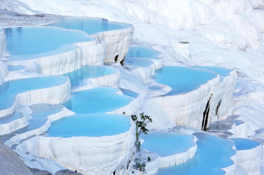 ANKARA ÇIKIŞLI İZMİR EFES ŞİRİNCE KUŞADASI PAMUKKALE OKUL TURU