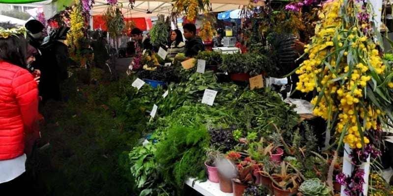 15. ALAÇATI OT FESTİVALİ ŞİRİNCE VE EFES TURU