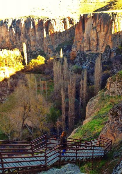 Konya Kapadokya Turu ( Şeb-i Arus) 