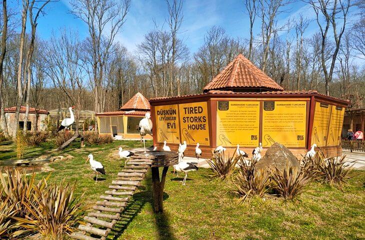 Şile Ağva Yedigöller Ormanya Abant Maşukiye