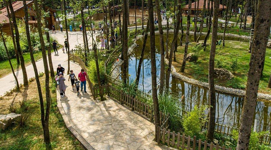 Şile Ağva Yedigöller Ormanya Abant Maşukiye