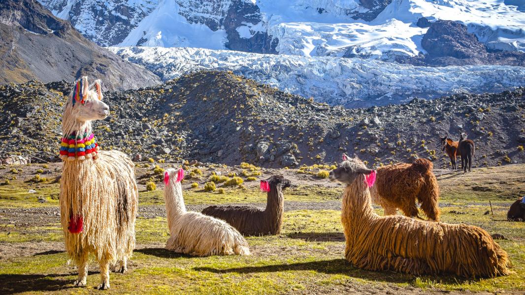 Peru Turu 7 Gece 9 Gün