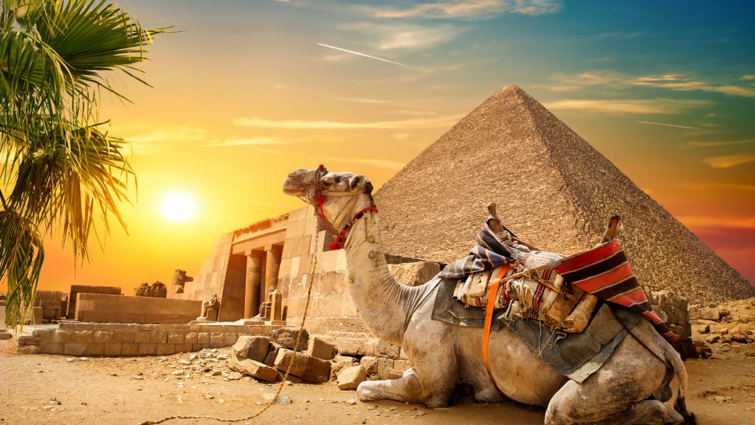 Pegasus İle İstanbul Kalkışlı Sharm El Sheikh Turu 4 Gece
