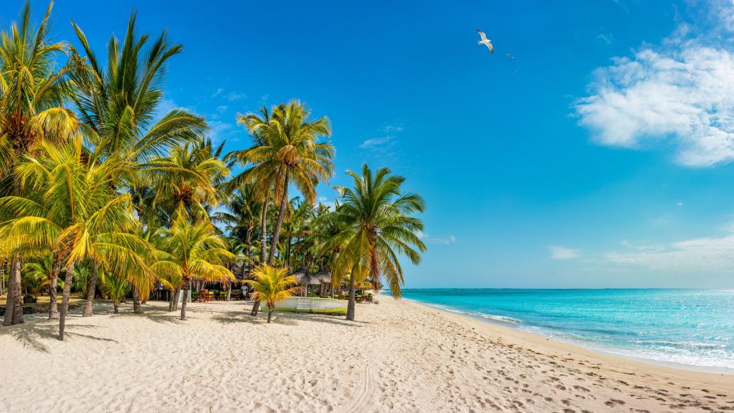 Madagaskar - Mauritius Turu 9 Gece 11 Gün