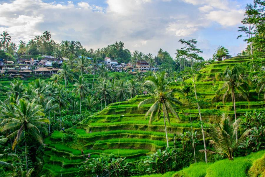 Bali Turu 5 Gece 6 Gün