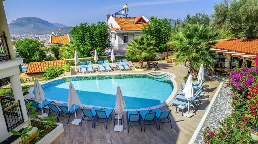 Perdikia Hill Family Hill