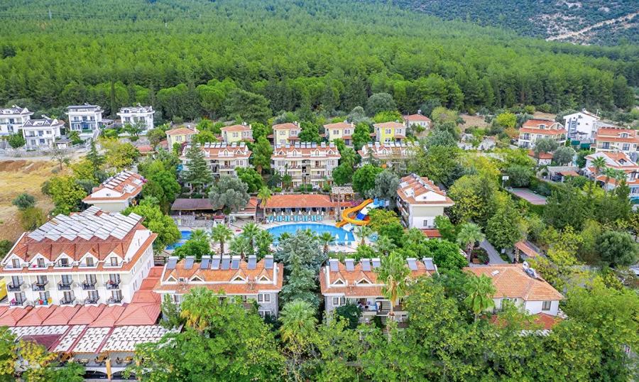 Perdikia Hill Family Hill