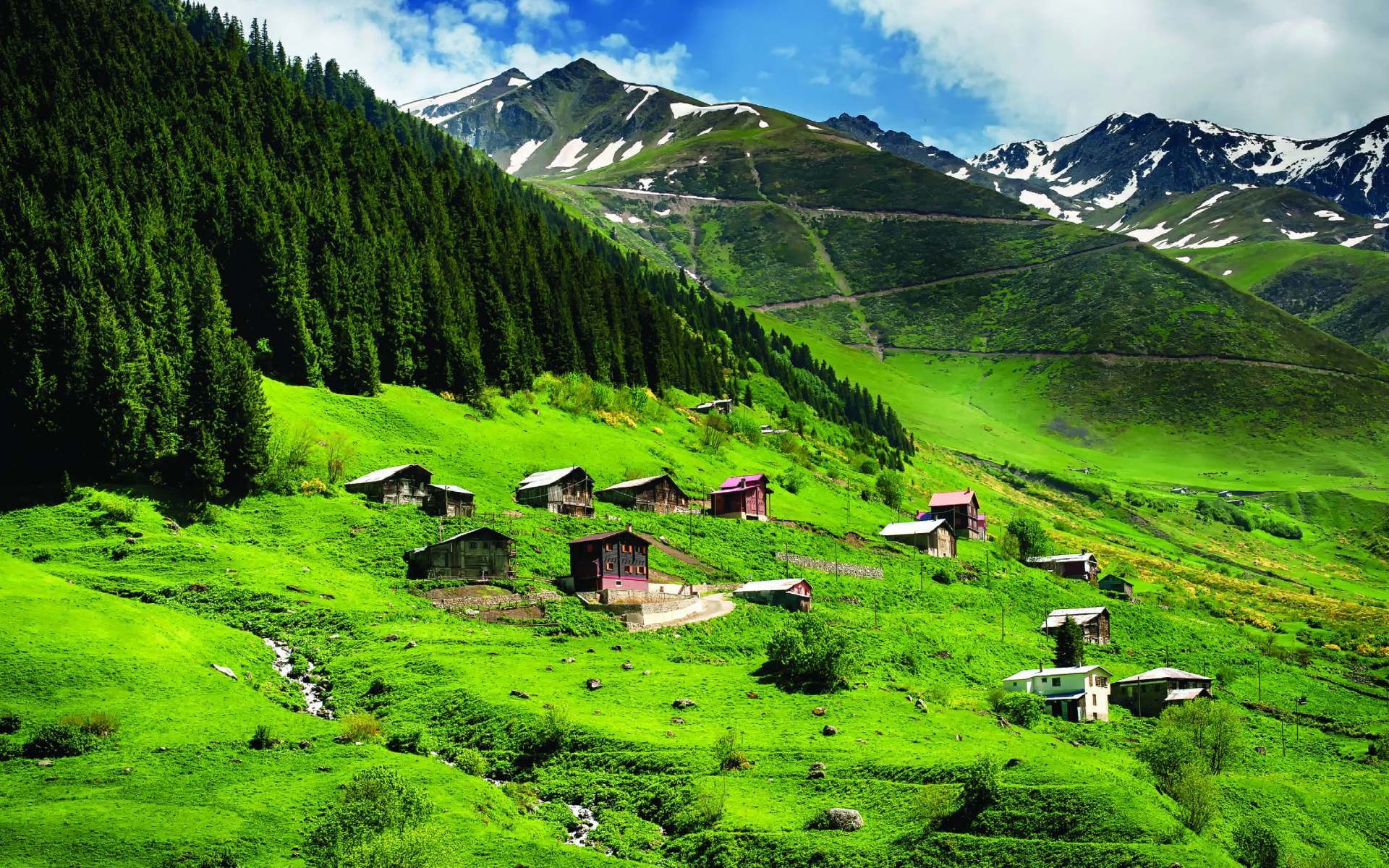 2024 Karadeniz Tatil Paketleri - İndirimli Tur Fırsatları