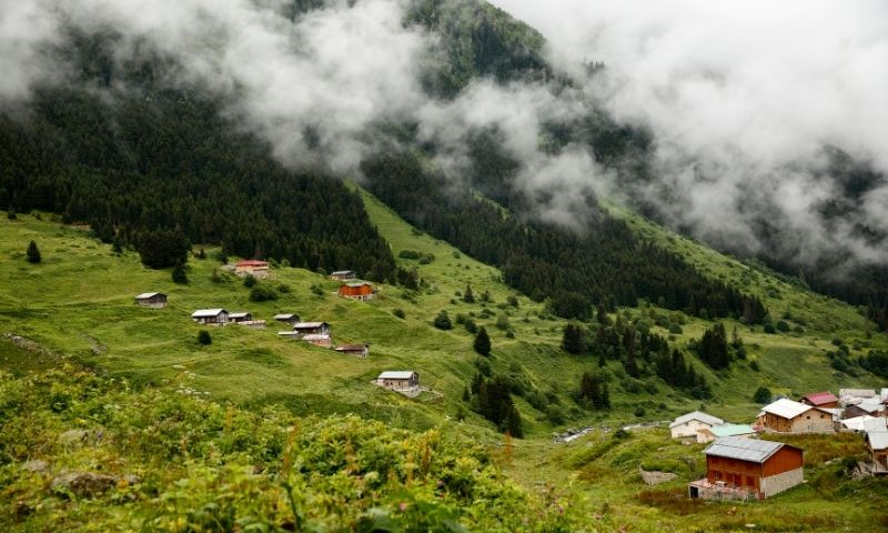 Bulutların Üstünde Bir 2026 Yazı: Karadeniz’in En Popüler 7 Yaylası