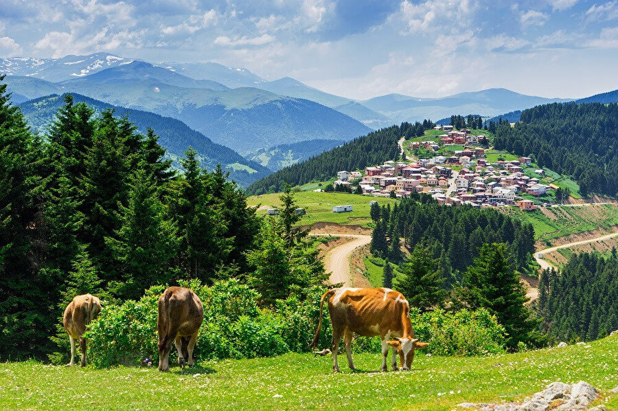 Ucuz Karadeniz Turu