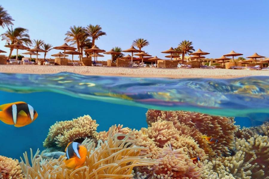 İzmir Hareketli Sharm ve Kahire – Sharm’da Her Şey Dahil Konaklama – Kolay Vize