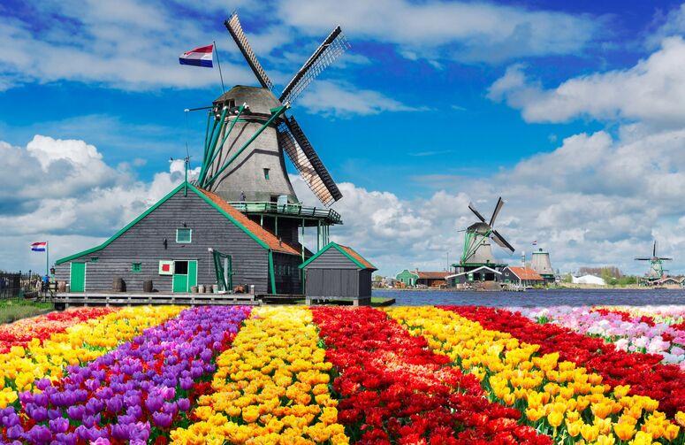 Benelux Paris Alsace İsviçre Almanya Turu THY ile 7 Gece Ekstra Turlar Dahil Sömestr Dönemi (BSL - CGN)