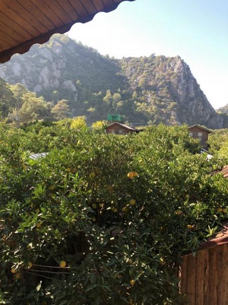 Olympos Varuna Bungalows